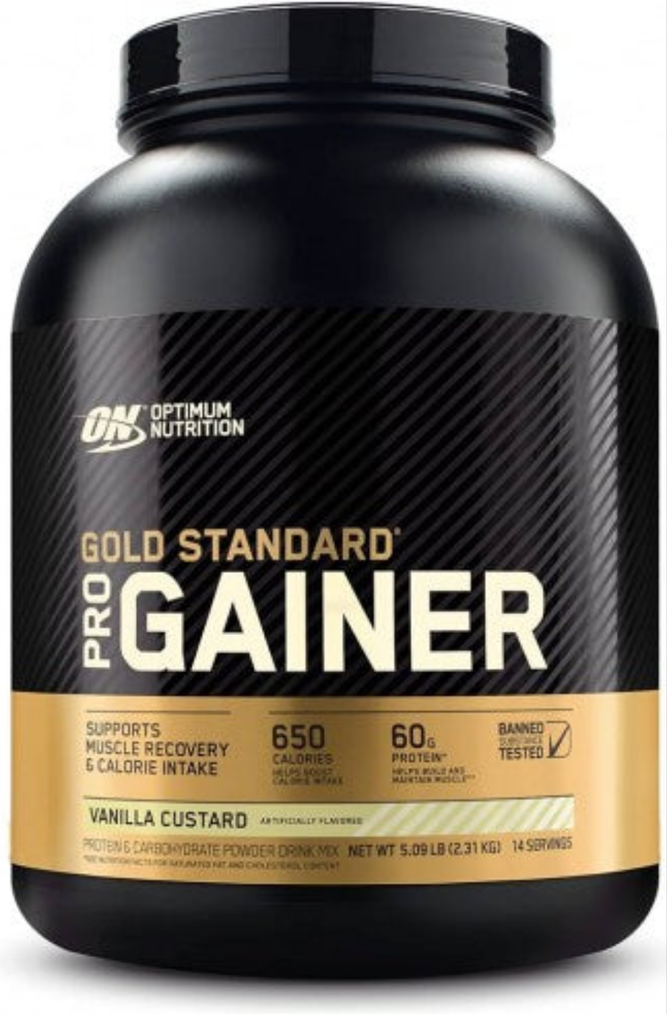 Optimum Nutrition Pro Gold Standard Gainer