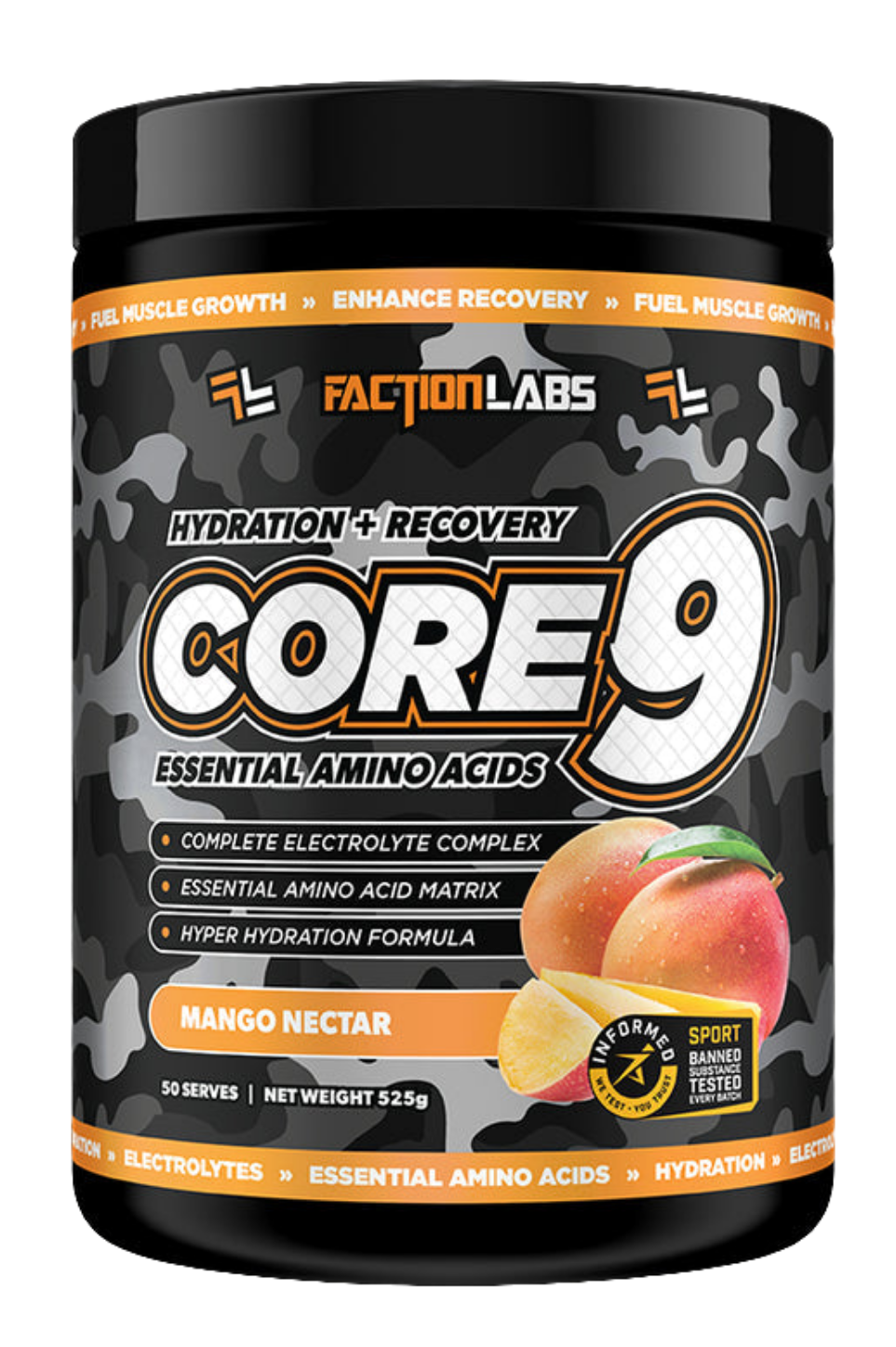 Faction Labs Core 9 EAA